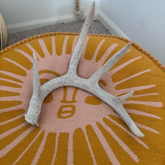 Other - Small Decorative Antler